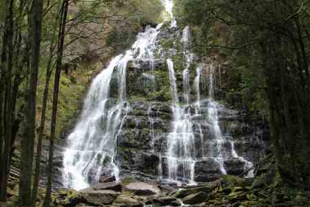 tasmania-nelson-falls-2016-4